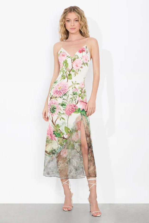 Alice + Olivia Women's Julietta Cutaway Lace Slip Dress