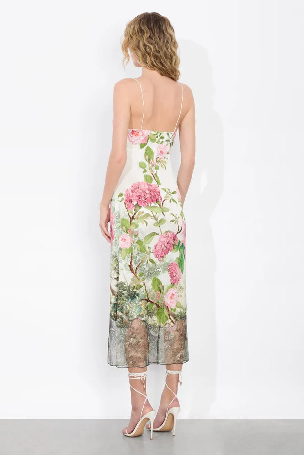 Alice + Olivia Women's Julietta Cutaway Lace Slip Dress