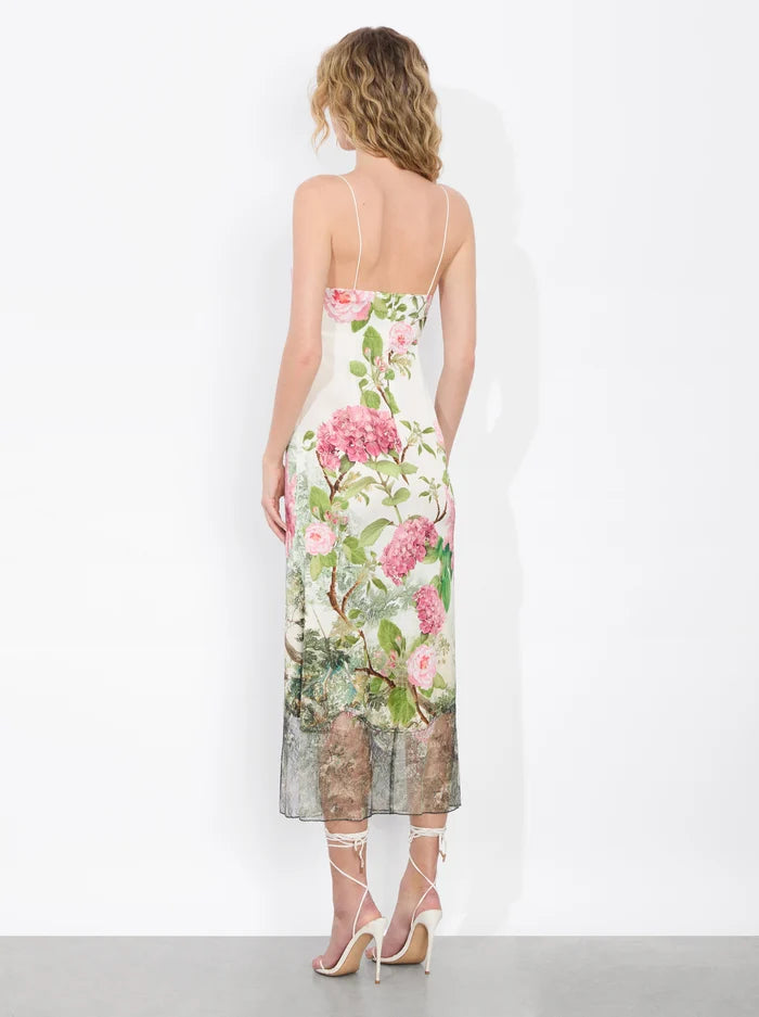 Alice + Olivia Women's Julietta Cutaway Lace Slip Dress