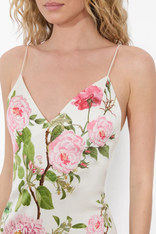 Alice + Olivia Women's Julietta Cutaway Lace Slip Dress