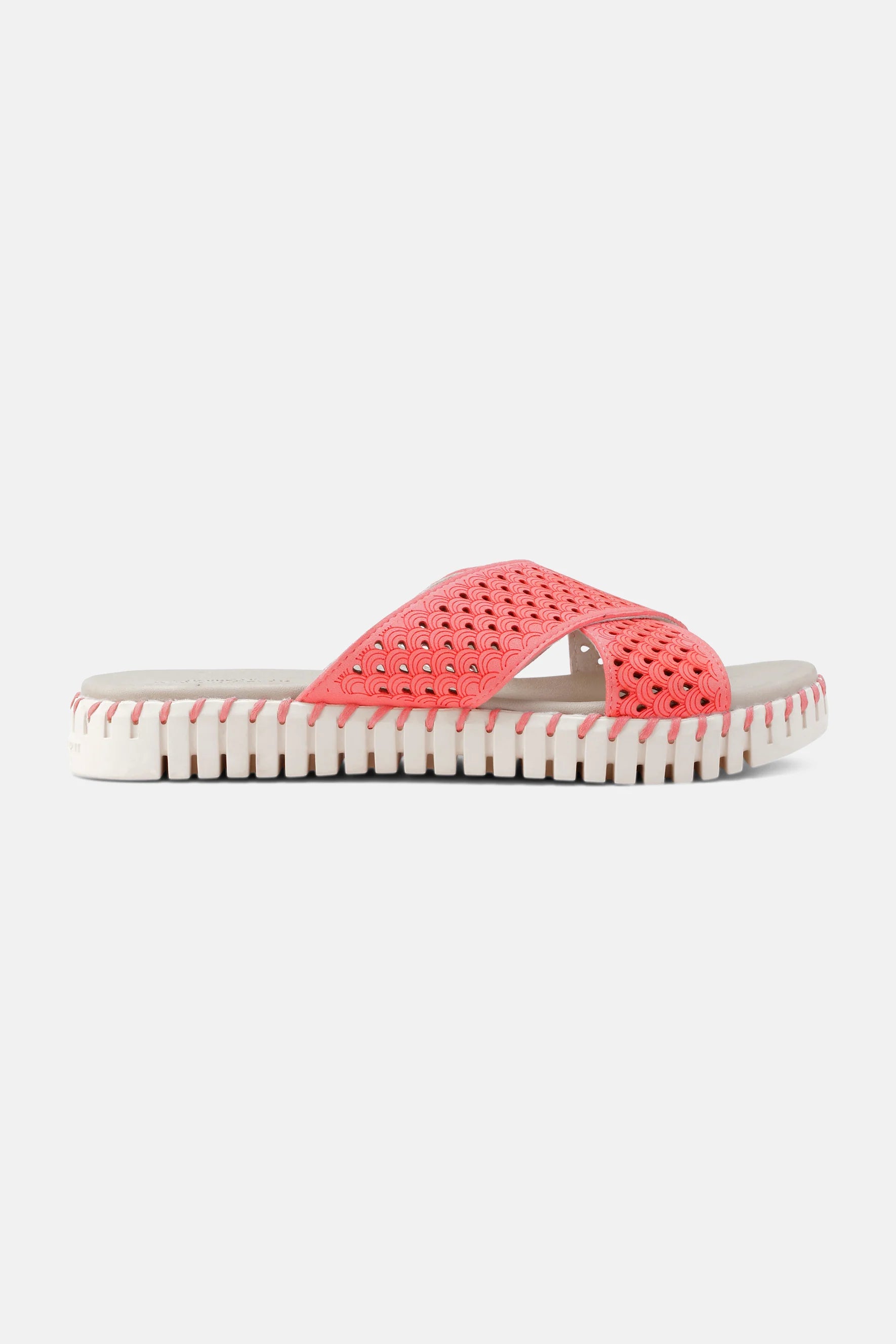 Ilse Jacobsen Women's Raspberry Tulip Sandal